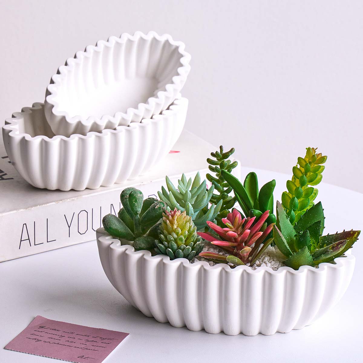 S/M/L Oval Striped Storage Bow - Potsticker Mold ulasan dan harga